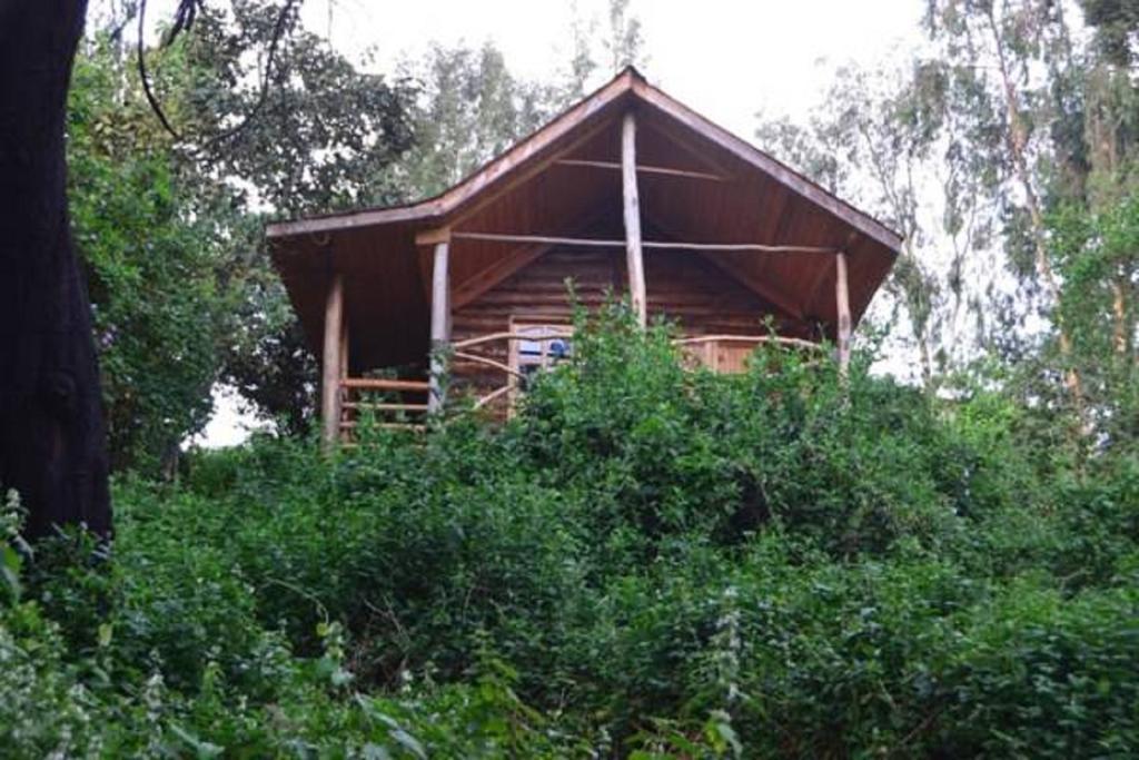 Lake Bunyonyi Eco Resort Chabahinga Pokoj fotografie